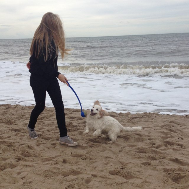 #merel