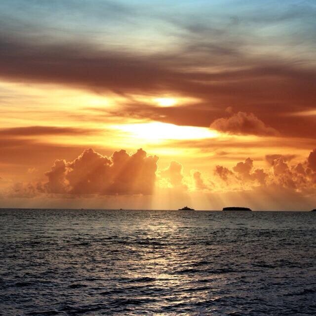 9al7al3taibi's profile picture. 