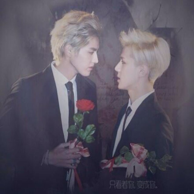 I'm so done with this fandom.