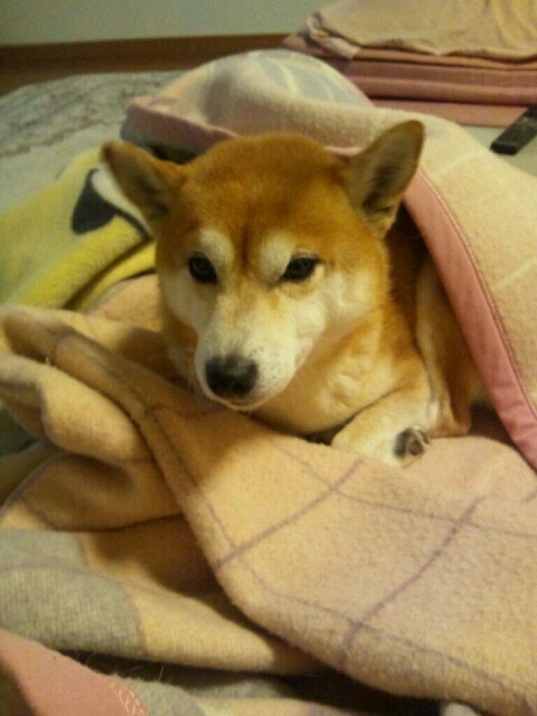 TMG_1970's profile picture. 理容師