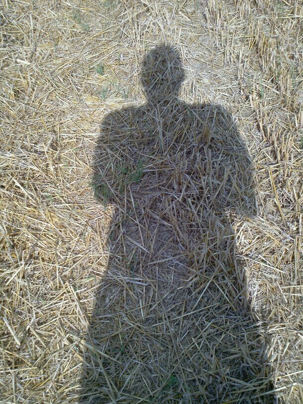 AHA2311's profile picture. music that's all.