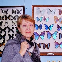 Люблю читать, рисовать, путешествовать, слушать музыку, кушать...