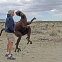 Robert Kaster - @yrekabob - Twitter