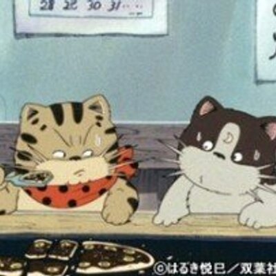 アントニオjr 小鉄 Antonio Tetsu Twitter アントニオjr 小鉄 Antonio Tetsu Twitter