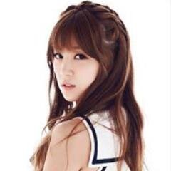 fake Apink Leader
