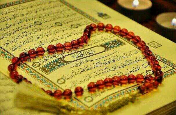 mohammeded1992's profile picture. لَا إِلَهَ إِلَا الله مُحَمَداً رَسُولُ الله