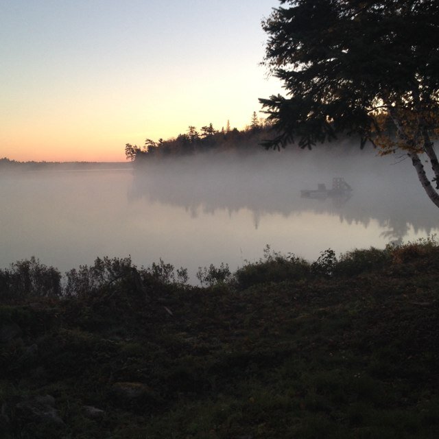 ggvandalae's profile picture. Dad to my 2 favorite people in the world..... and true to myself