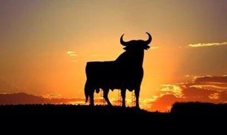 gonzalezbordoli's profile picture. 