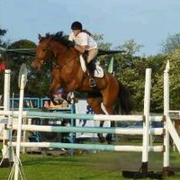 MSC Equitación - Sol (@solcitoconfe) 's Twitter Profile