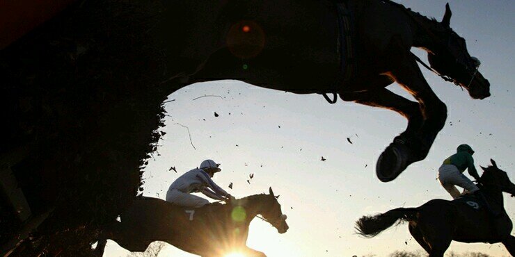 Free horse racing tips daily! enjoy... Beat those bookies
