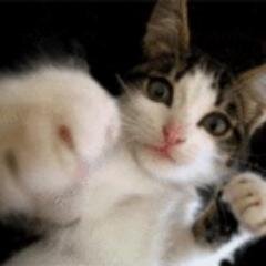 釣りがしたいです