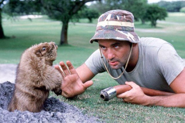 Roger74541076's profile picture. 