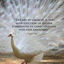 Barbara Dittrich - @Kelosie - Twitter