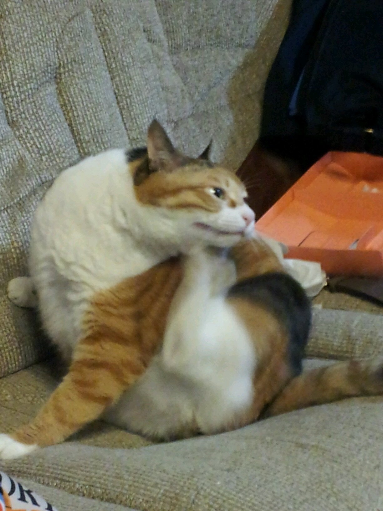 eits19's profile picture. 