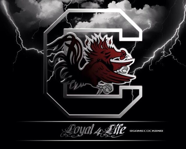 PortfoliomgrAP's profile picture. 