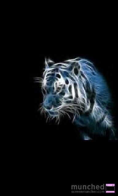 taufiknaufal's profile picture. RCM • Skri11ex • alazhar 3 Islamic junior highschool • follow my new twitter @taufik_nz