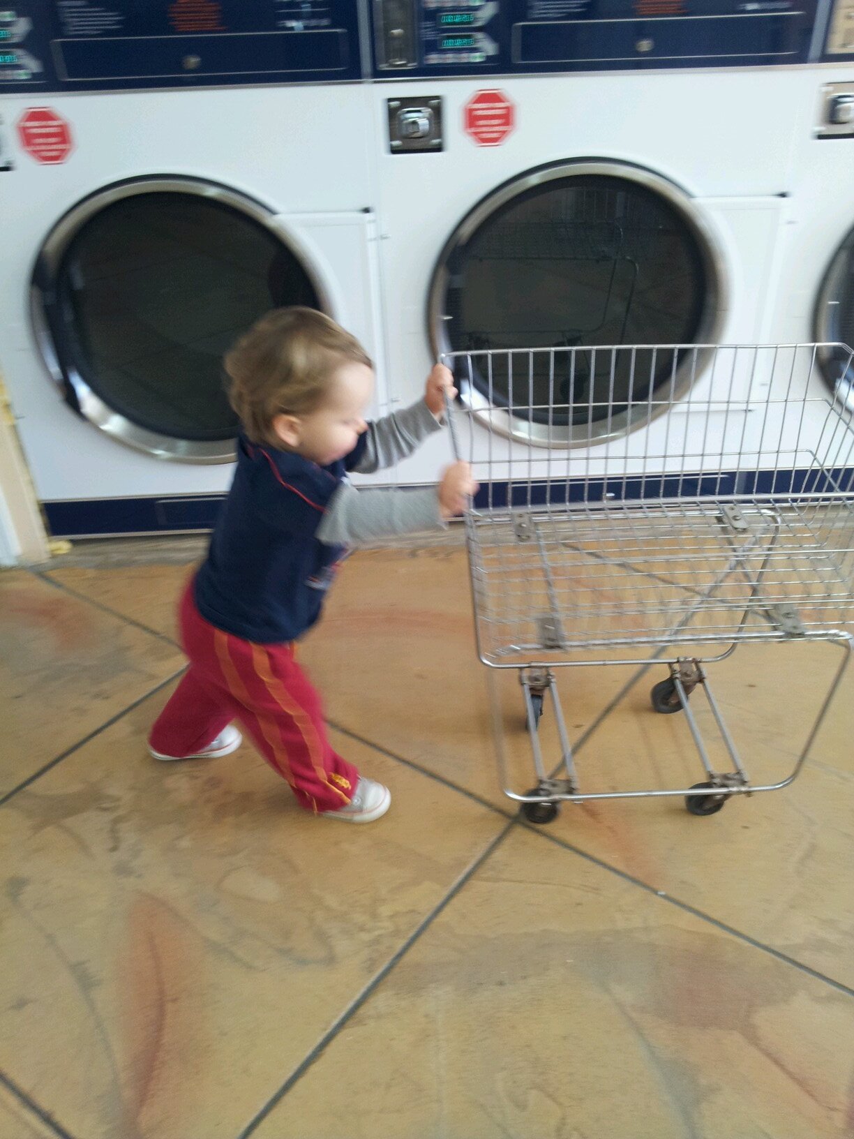 calesvan's profile picture. 