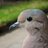 ErickMoreta1's profile image