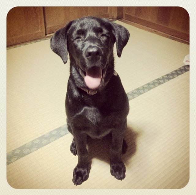 i ... 