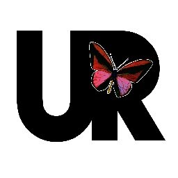 Fla. based Non-Profit, mentoring organization for inner city Youth! Building STRONG, confident individuals from the inside OUT! 
Est.1998