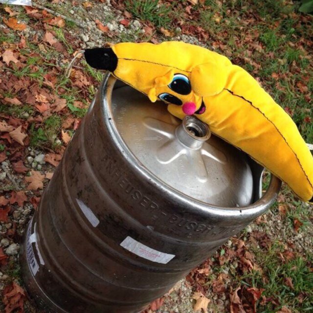 Peel it and weep. Inspired by the original banana eaters @unhbananaeaters *DM pics