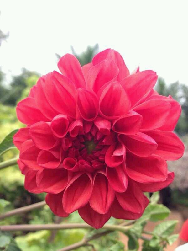 ali585851's profile picture. انتقل إلى رحمة الله صاحب هذا الحساب رحمة الله عليه واسكنه فسيح جناته اذكروه بدعوه