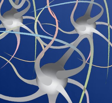 From Neural Networks to Social Networks - Emory 2013 Neuroethics Symposium