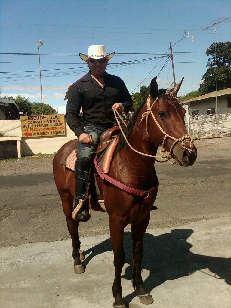 EdArias16's profile picture. Master of Engineering Management, Industrial Engineering, Ministerio de Comercio e Industrias, Chiriquí Campeón , RedSox, Let's go Patriots, Tauro, MareaRoja...