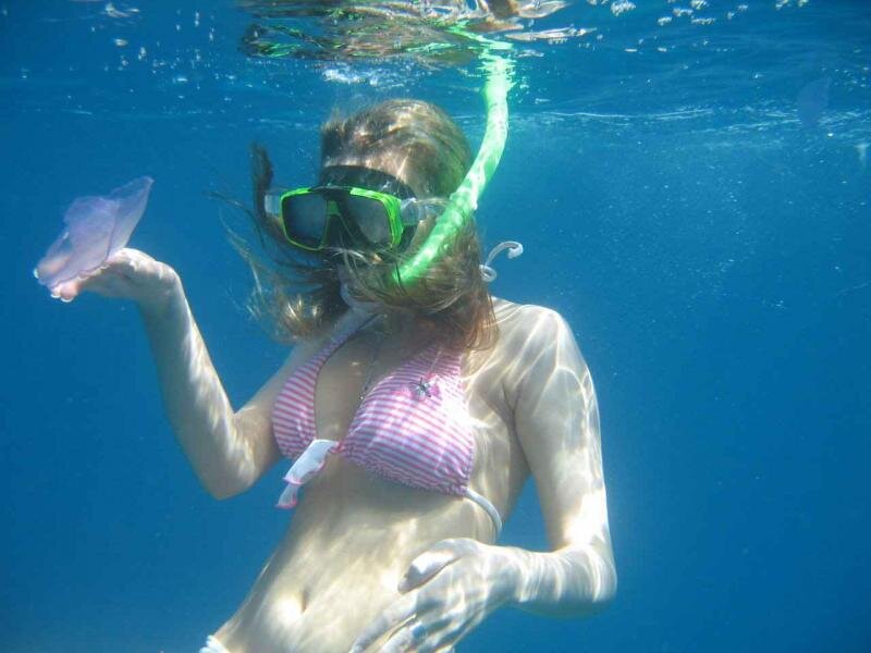 Diver, Surfer, Medical Cannabis Doctor
