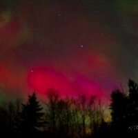 Sandra Mac (@maskoftime) 's Twitter Profile