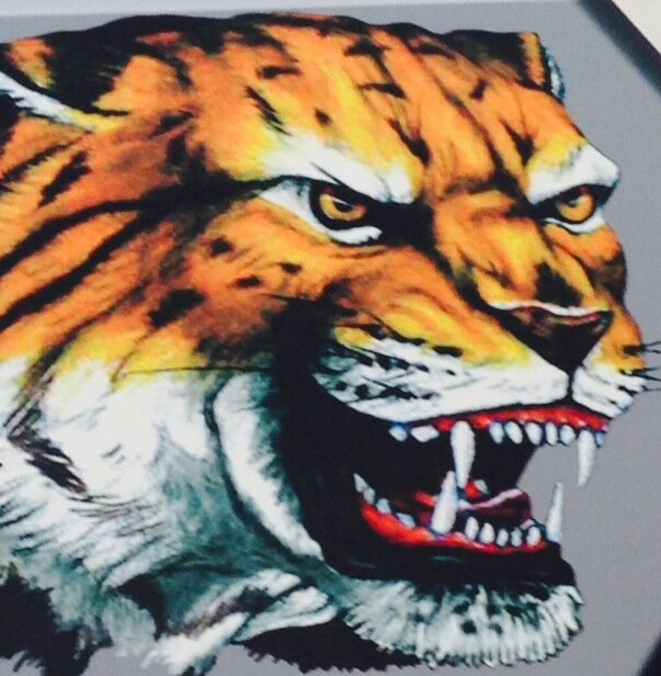 Lake Highlands High School Year Book