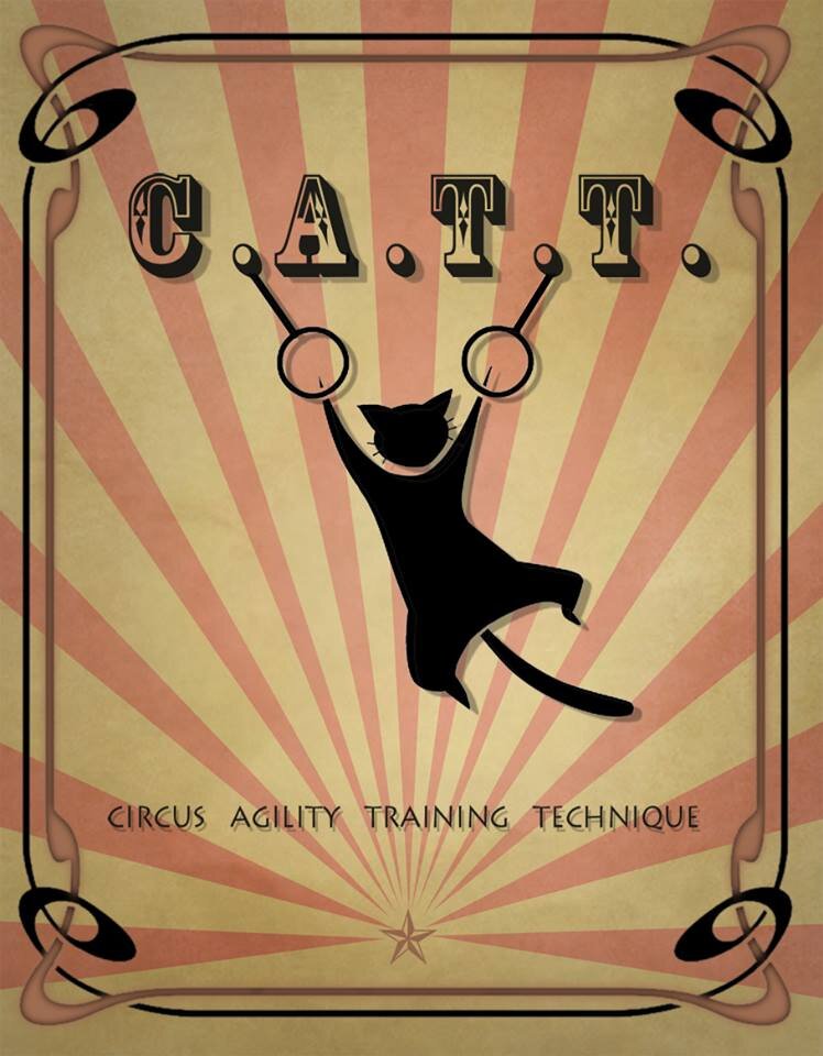 Circus Agility Training Technique