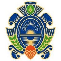 الأمن العام اللبناني (@lebanongdgs) 's Twitter Profile