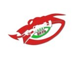 Official Twitter Account for Llanelli Schools Rugby Under 11s. https://t.co/kFaUosMbvP