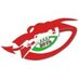 Llanelli Schools U11 (@llanelliu11s) Twitter profile photo Llanelli Schools U11 (@llanelliu11s) Twitter profile photo