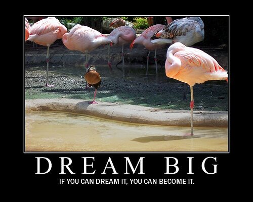 Dream big)