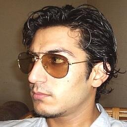 Political thinker