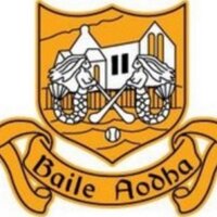 Ballyea GAA Club (@ballyea_club) Twitter profile photo