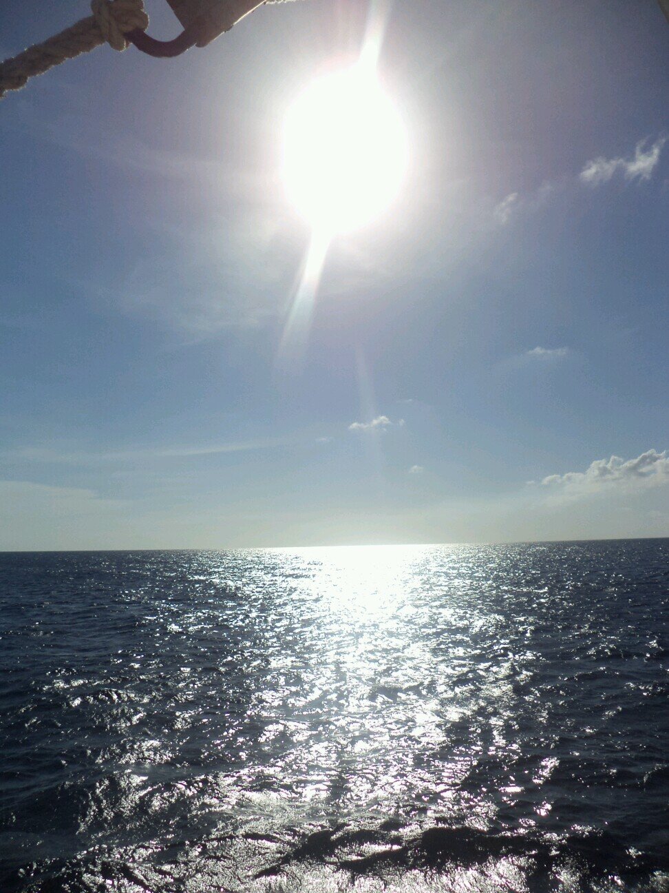 DANNYANDSORIA's profile picture. 