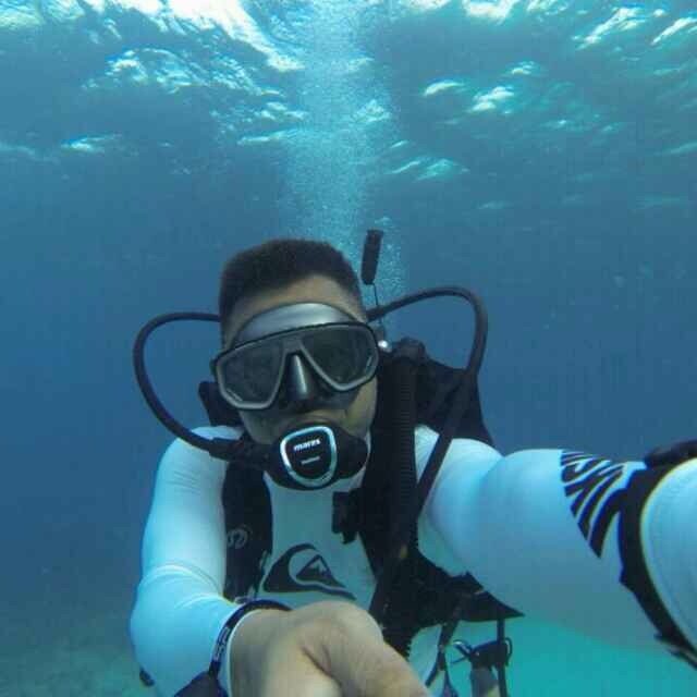Diver