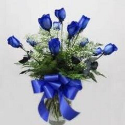 Rose Blue Rosesareblue Net Rosebluereviews Twitter Rose Blue Rosesareblue Net Rosebluereviews Twitter