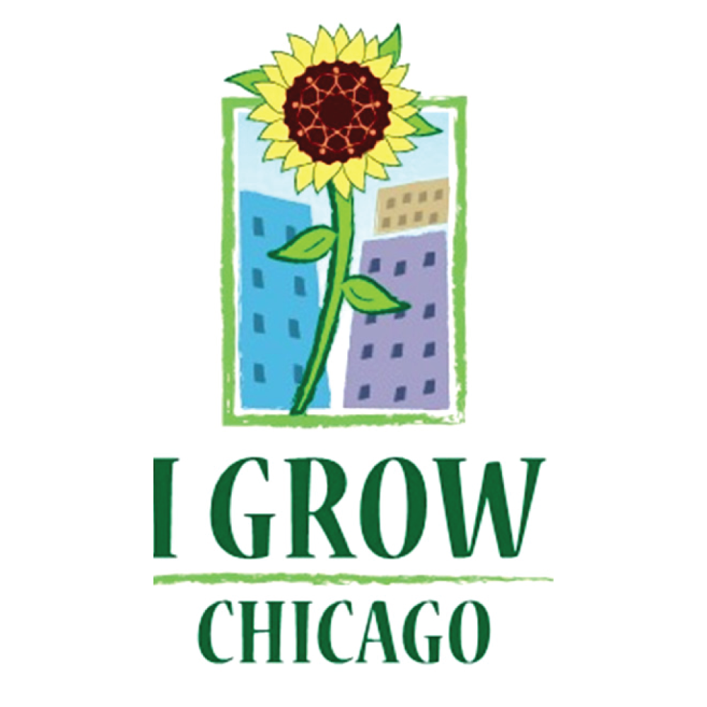 IF IN DOUBT LOVE. Our Peace Campus is a hub for community wellness and healing justice. #healingthehood contact@igrowchicago.org