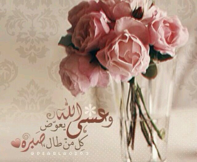 إنكار الجميل هو أن يكسر الأعمى عصاه بعد أن يبصر