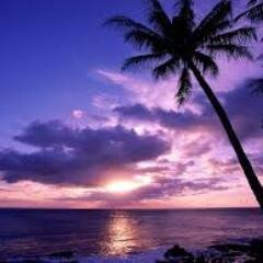 Your personal NE based #TravelAgent, offering excellent service and fantastic deals.