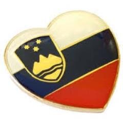 mladiVSO's profile picture. Mladinska sekcija Združenja za vrednote slovenske osamosvojitve