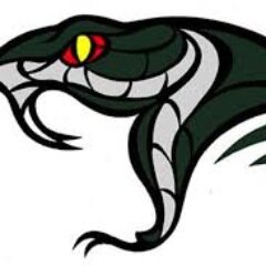 Official Twitter page for the C/O 2017 Follow us on instagram @fvshclassof2017 ! First Ever Back-to-Back Viper Vamp Winners.       Graduates.