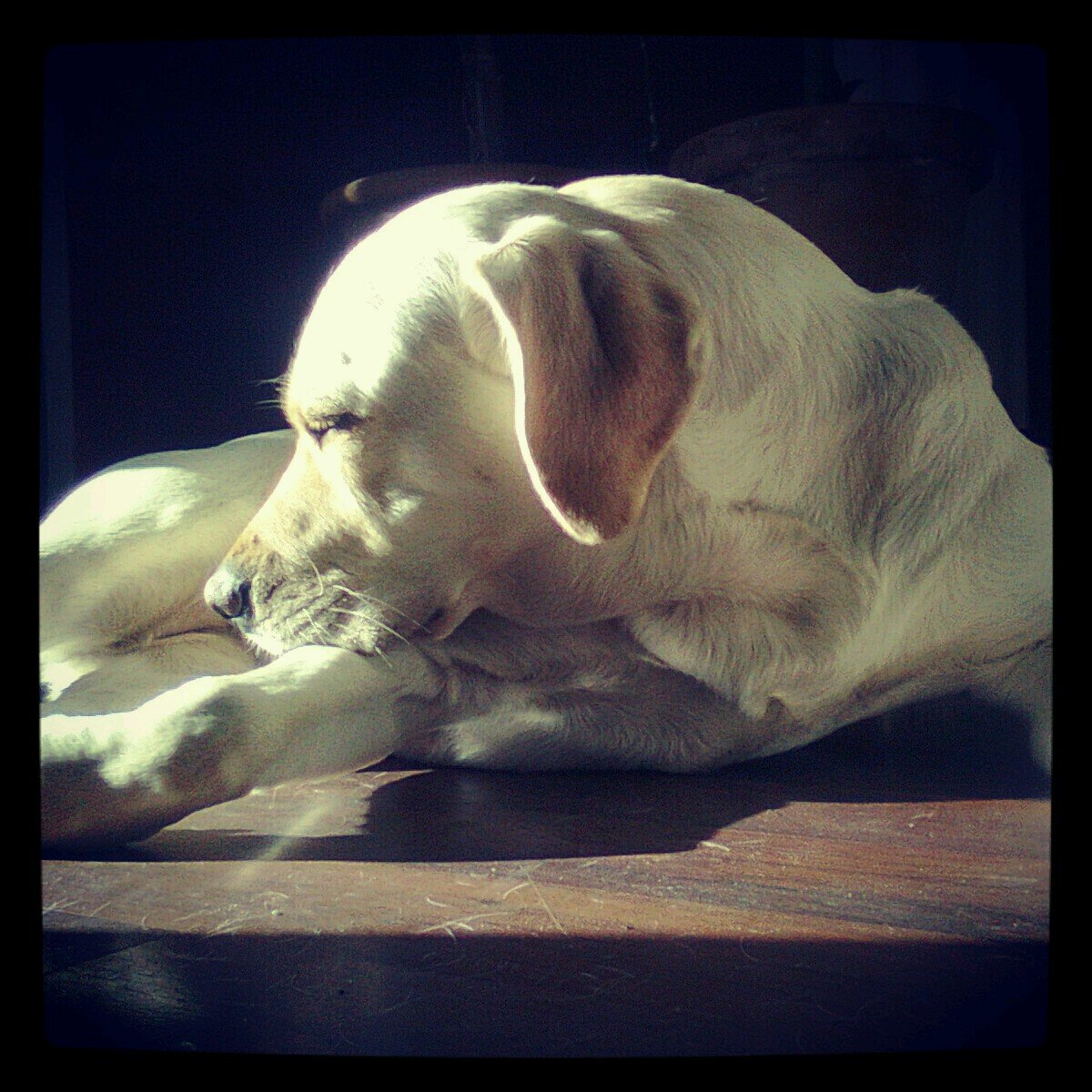 xavihoms17's profile picture. 