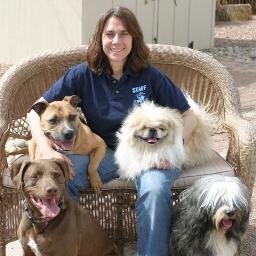 Executive Director, All Breed Rescue & Training - a 501(c)3 Colorado Non-profit, Certified Professional Dog Trainer, Canine Behavior Counselor, Speaker, Rescuer
