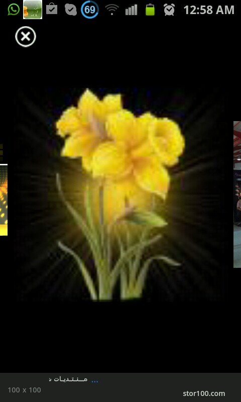 ghadabanat22's profile picture. 