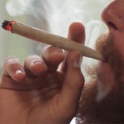 Todo lo que diga podrá ser usado en tu contra. #420 #procannabis